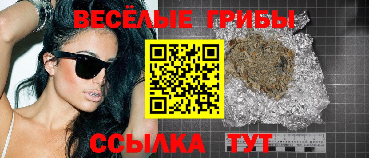 Галлюциногенные грибы Psilocybine cubensis Магнитогорск